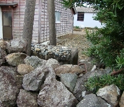 井戸528.jpg